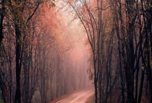 国少亚少赛23人大名单：魏祥鑫、艾比布拉领衔，恒大足校6人入选.