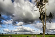 本赛季五大联赛30岁以上球员射手榜:萨拉赫、莱万、凯恩前三.