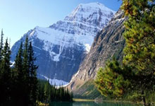 亚残运会田径:用速度和力量追梦央视网.