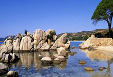 九游娱乐:篮球公园曾凡博.